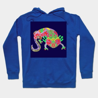 Mexican axolotl in ecopop rainbow madness Hoodie